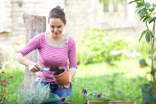 Professional garden clearance team at work in Hammersmith