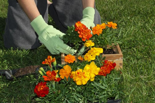 Selection of diverse plants suitable for Hammersmith climate