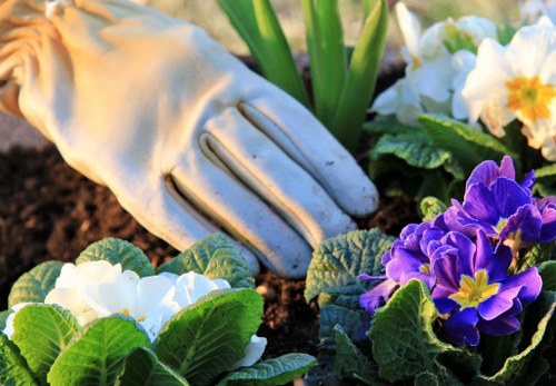 Seasonal garden maintenance activities in a Hammersmith garden