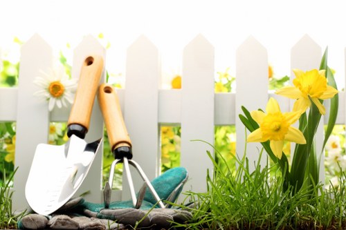 Various types of lawn mowers suitable for Hammersmith gardens
