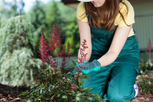 Seasonal garden maintenance activities in Hammersmith