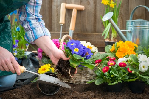 Eco-friendly garden clearance practices in Hammersmith
